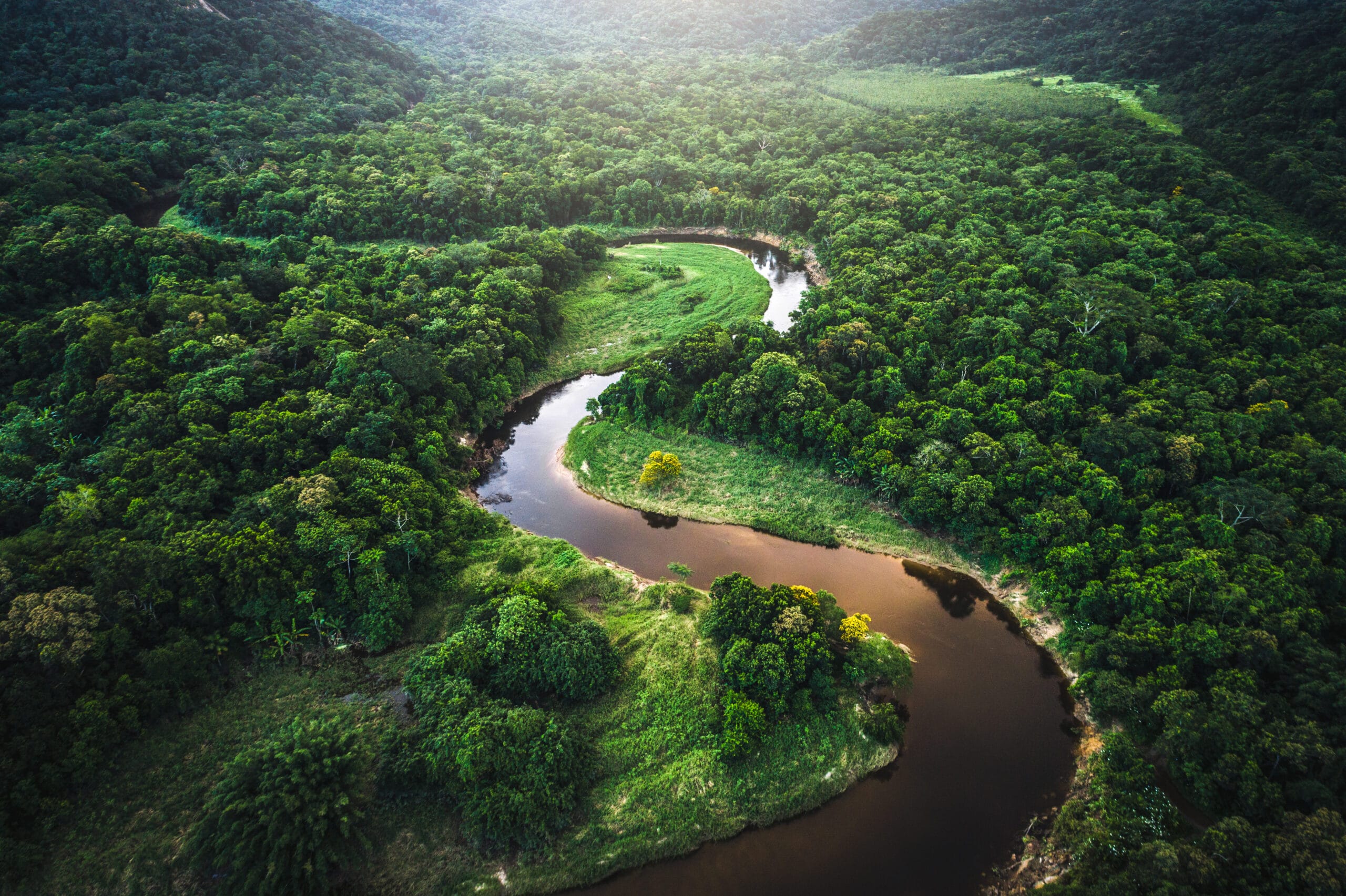 Luftfoto av Amazonas